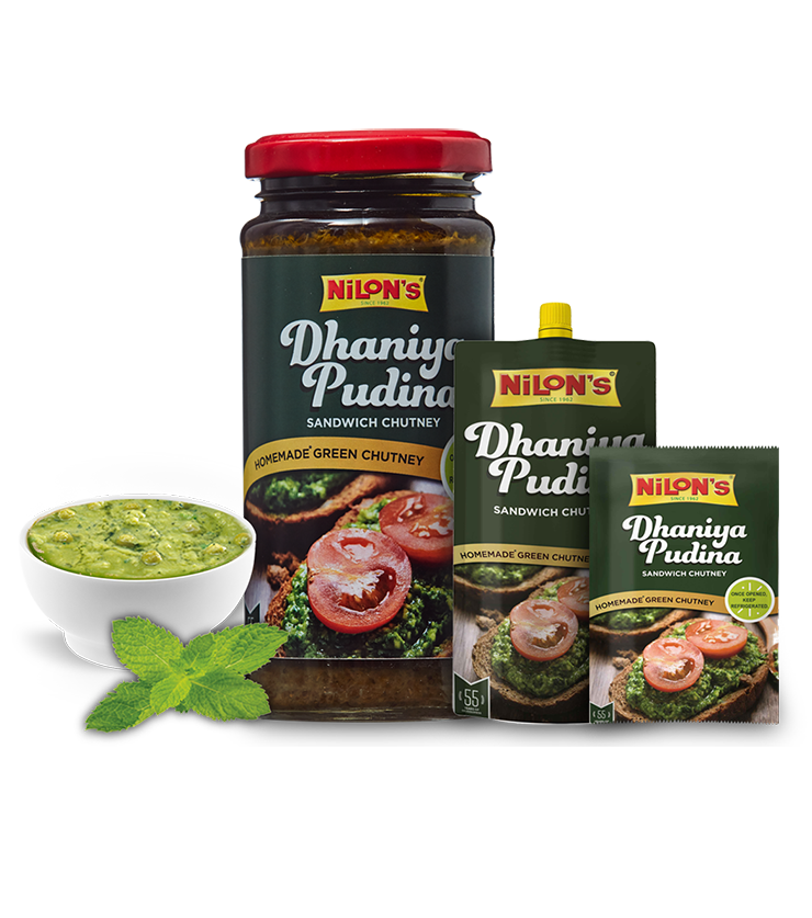 Dhaniya Pudina Chutney